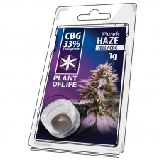 Purple Haze Jelly CBG 33%
